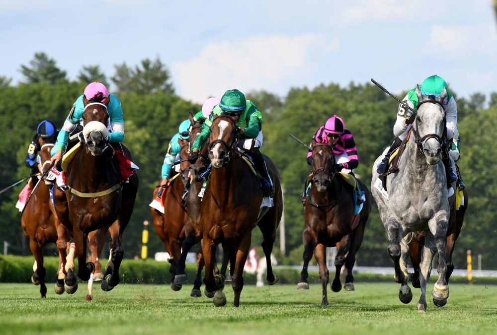 Whitebeam (GB) - Diana G1T - Foto Crédito: Coglianese Photo