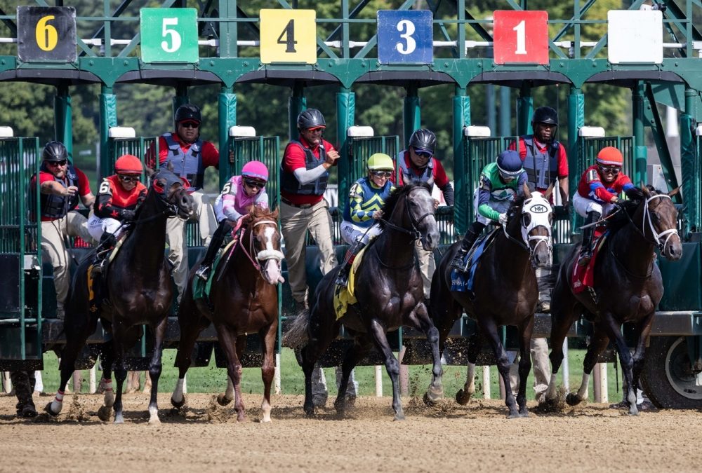 Albany Stakes Start - Coglianese Photo