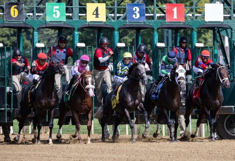 Albany Stakes Start - Coglianese Photo