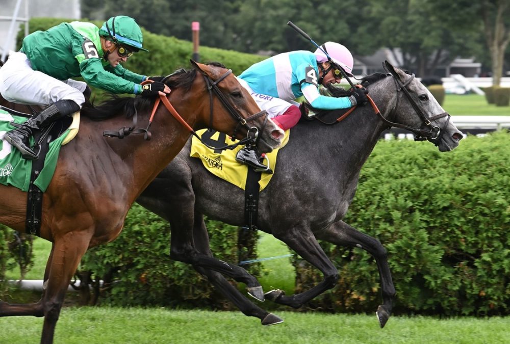 Beaute Cachee (Fr) - Ballston Spa Stakes G2T - Coglianese Photo