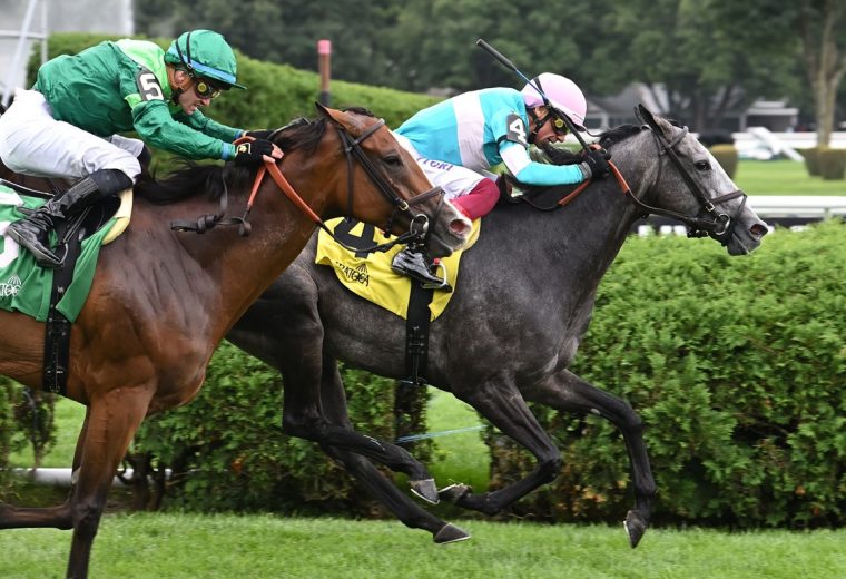 Beaute Cachee (Fr) - Ballston Spa Stakes G2T - Coglianese Photo