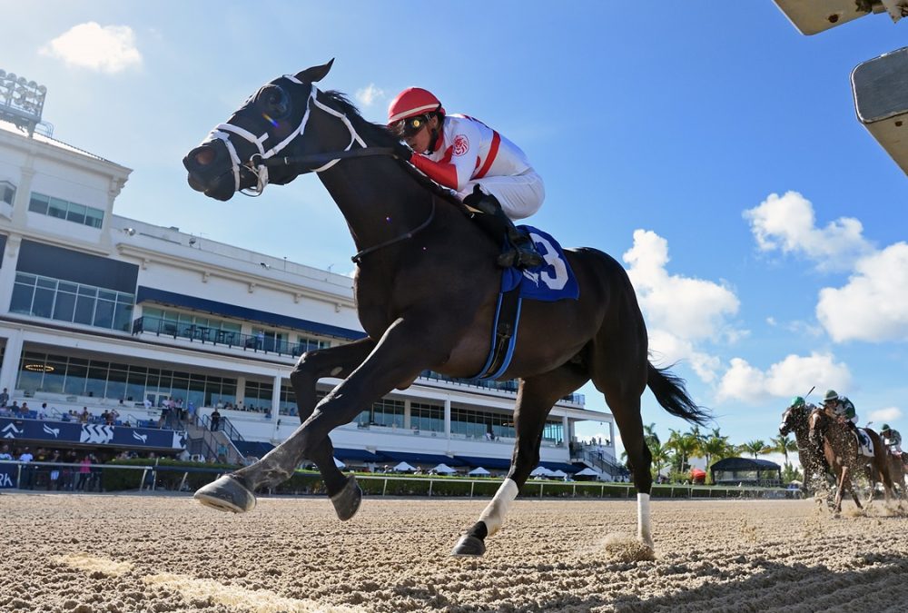 Bentornato - Ryan Thompson/Coglianese Photo