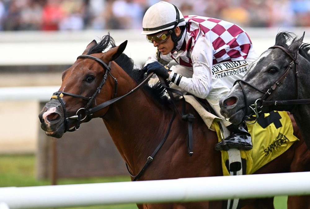 Courtly Banker - Rick Violette Stakes - Chelsea Durand/Coglianese Photo