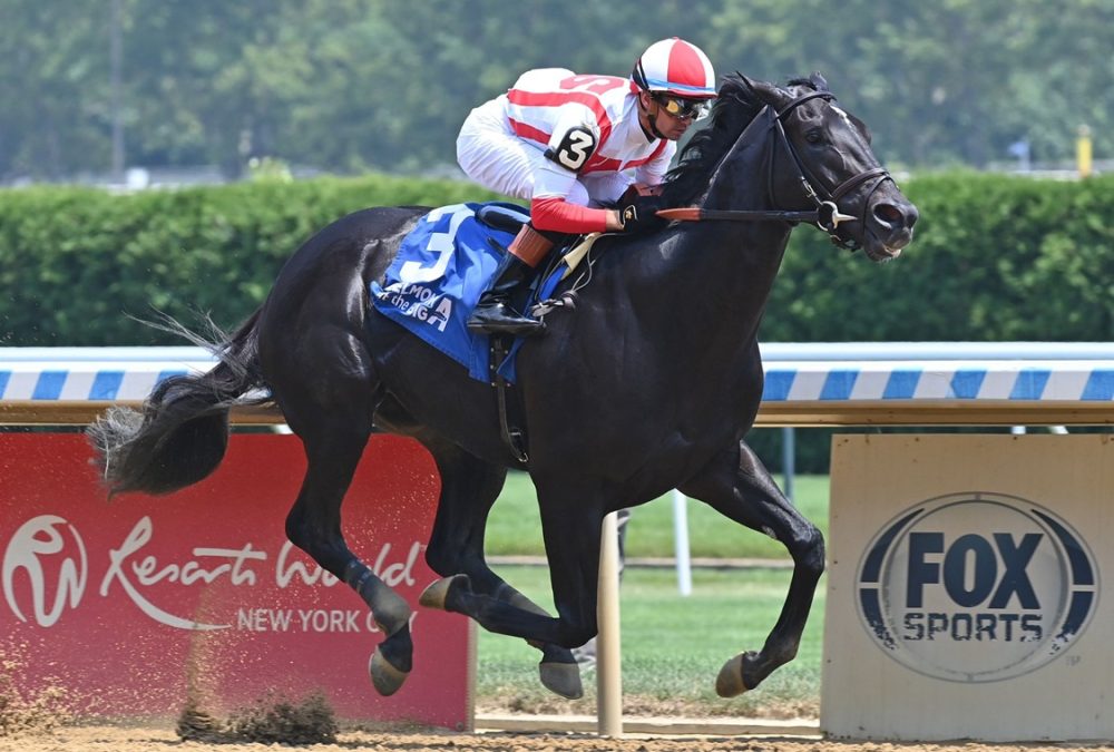 Domestic Product - Dwyer Stakes G3 - Coglianese Photo