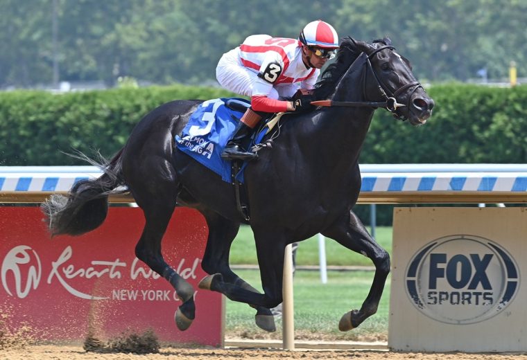 Domestic Product - Dwyer Stakes G3 - Coglianese Photo