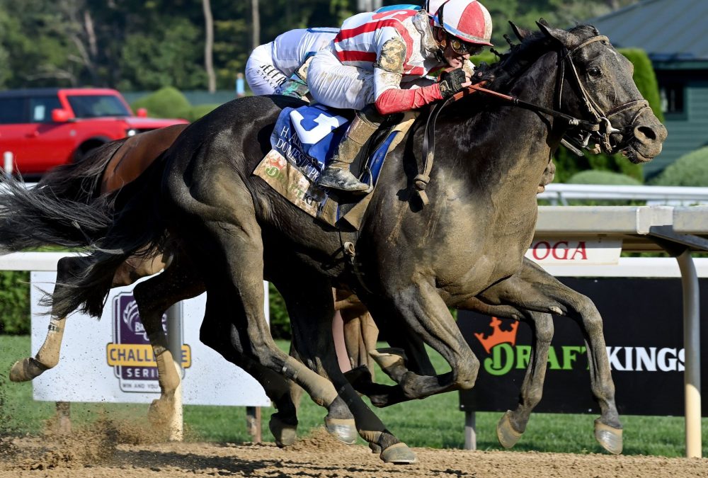 Domestic Product - H.Allen Jerkens Memorial G1 - Coglianese Photo