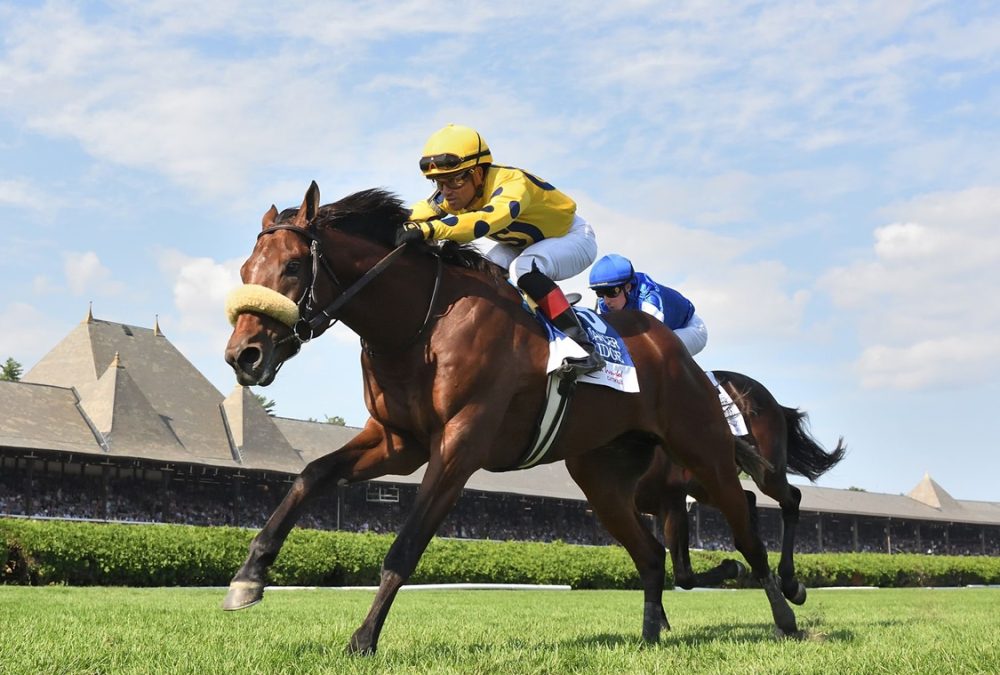 Far Bridge - Sword Dancer Stakes G1T - Coglianese Photo