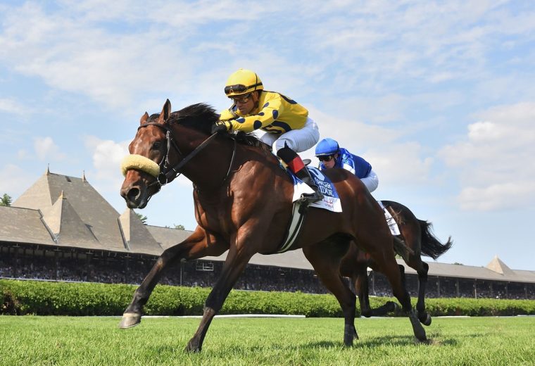 Far Bridge - Sword Dancer Stakes G1T - Coglianese Photo