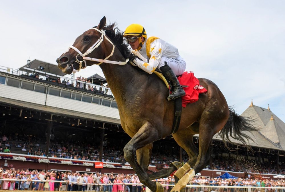 Ferocious - Saratoga - Coglianese Photo