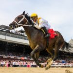 Ferocious - Saratoga - Coglianese Photo