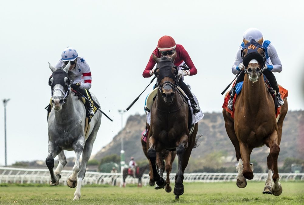 Gold Phoenix (ire) - Del Mar Handicap G2T - Benoit Photo