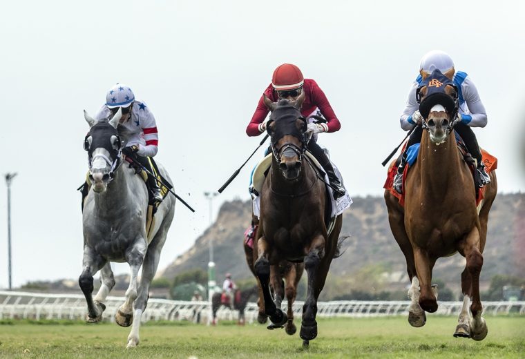 Gold Phoenix (ire) - Del Mar Handicap G2T - Benoit Photo