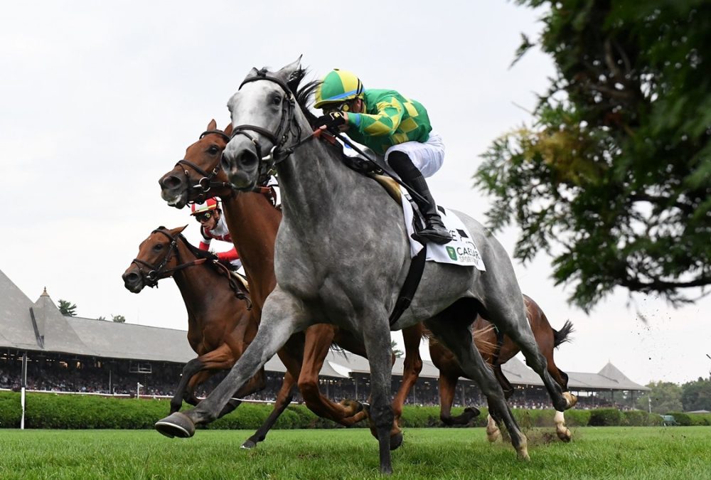 Grayosh - Lake Placid Stakes G2T - Coglianese Photo