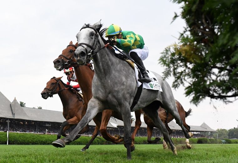 Grayosh - Lake Placid Stakes G2T - Coglianese Photo