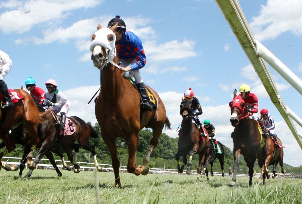 Henry Mac - Belterra Park - Coady Media