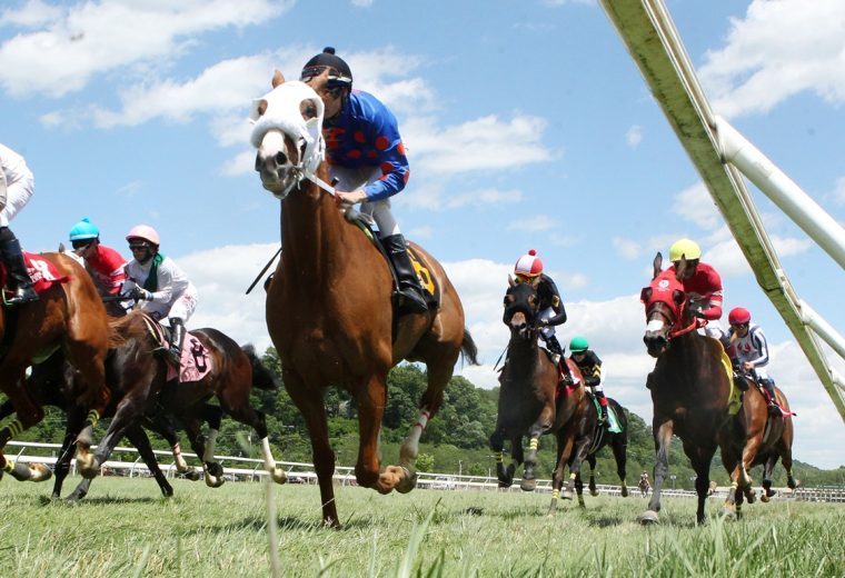 Henry Mac - Belterra Park - Coady Media