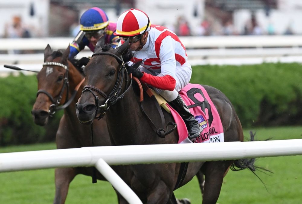 Idea Generation - Flower Bowl S. - Coglianese Photo