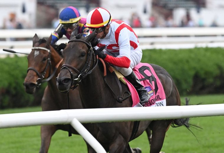 Idea Generation - Flower Bowl S. - Coglianese Photo