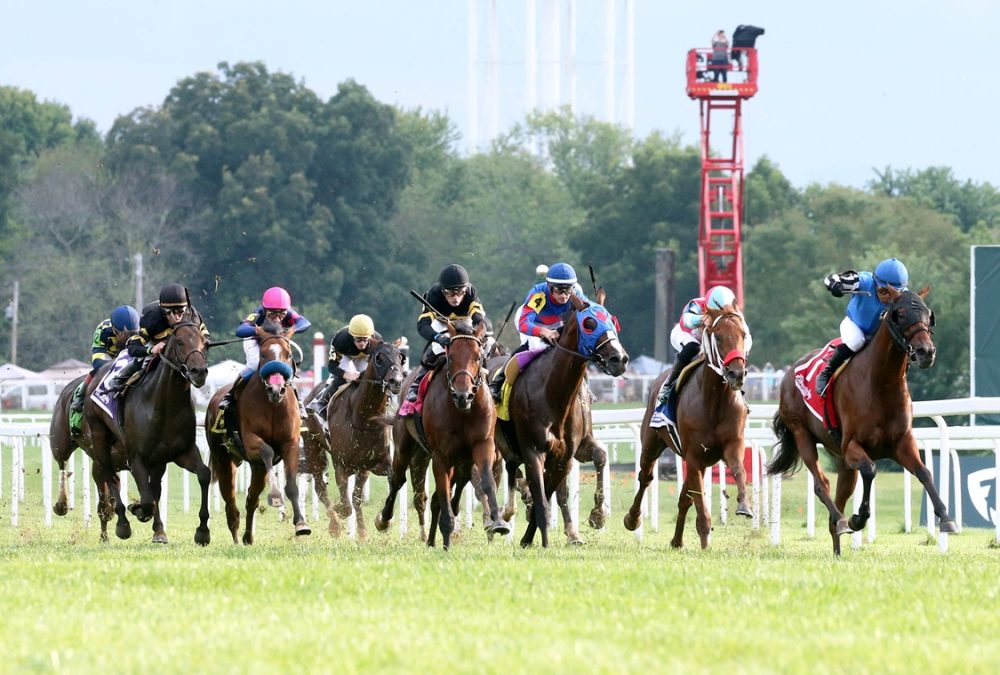 Kentucky Downs - Scenics - Coady Media