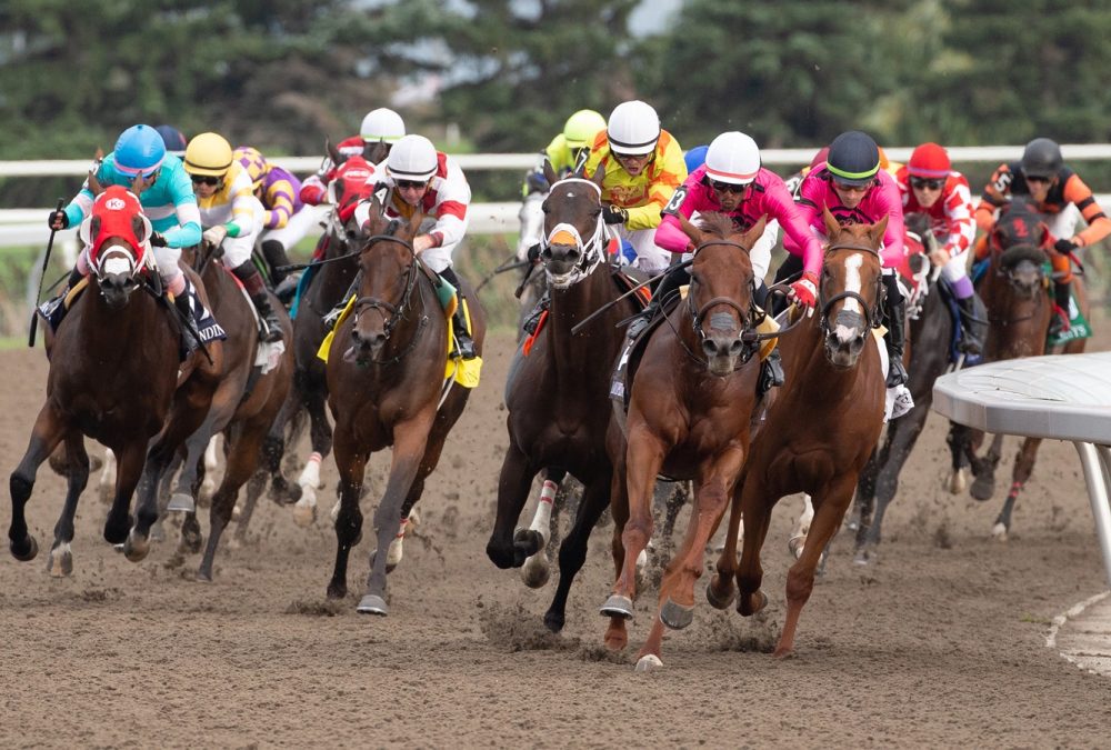 King's Plate 2023 - Woodbine - Michael Burns