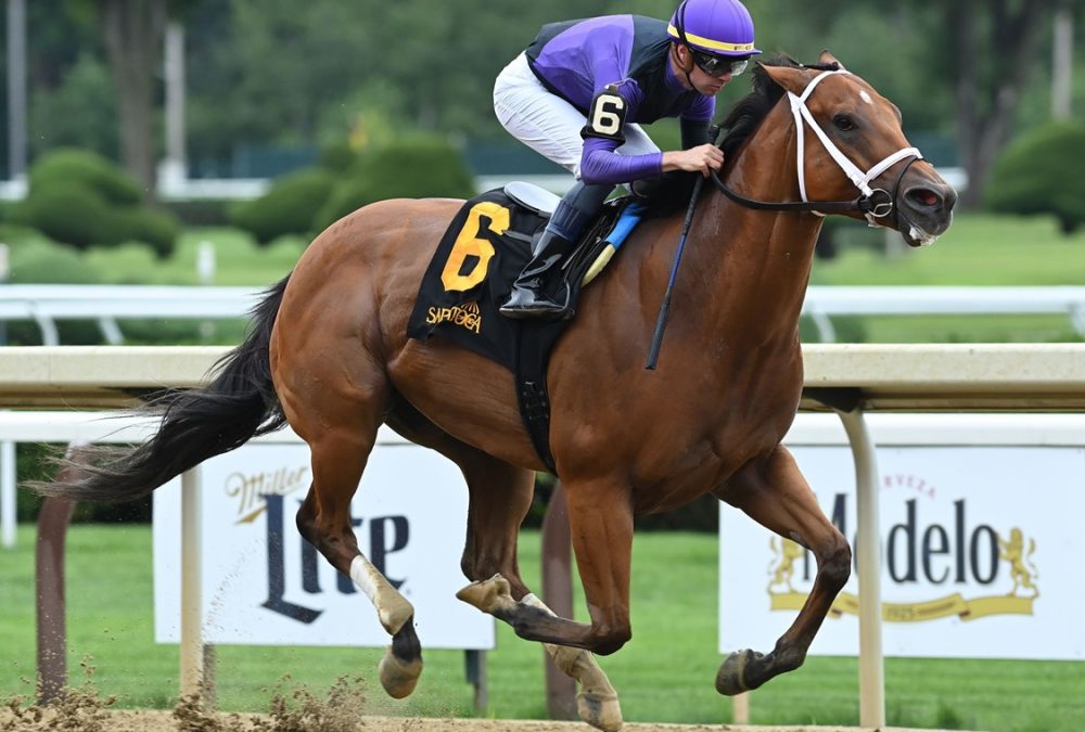 Looms Boldly - John Morrissey H. - Coglianese Photo