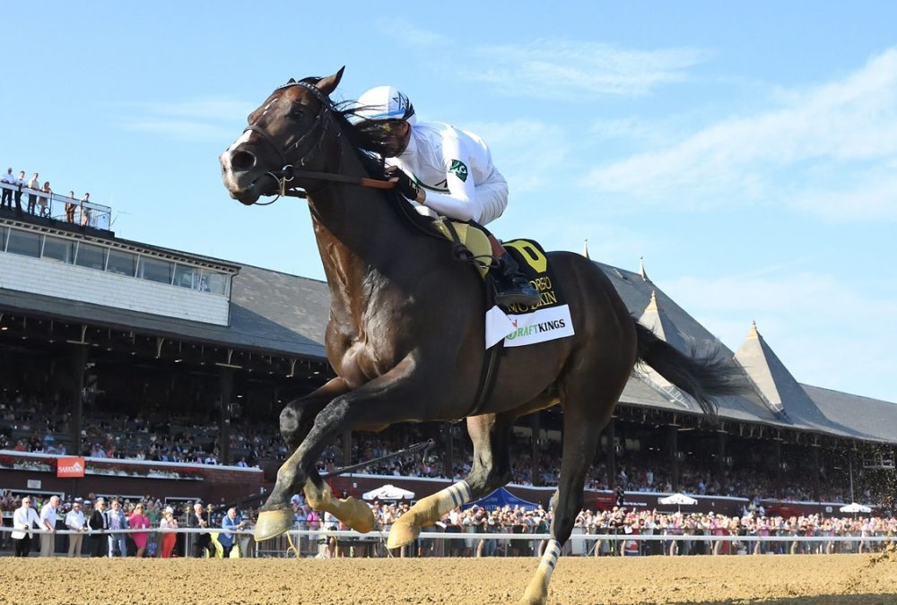 Mullikin - Forego Stakes - Coglianese Photo