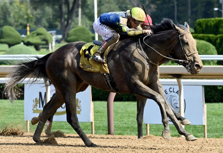 Pandagate - Albany Stakes - Coglianese Photo