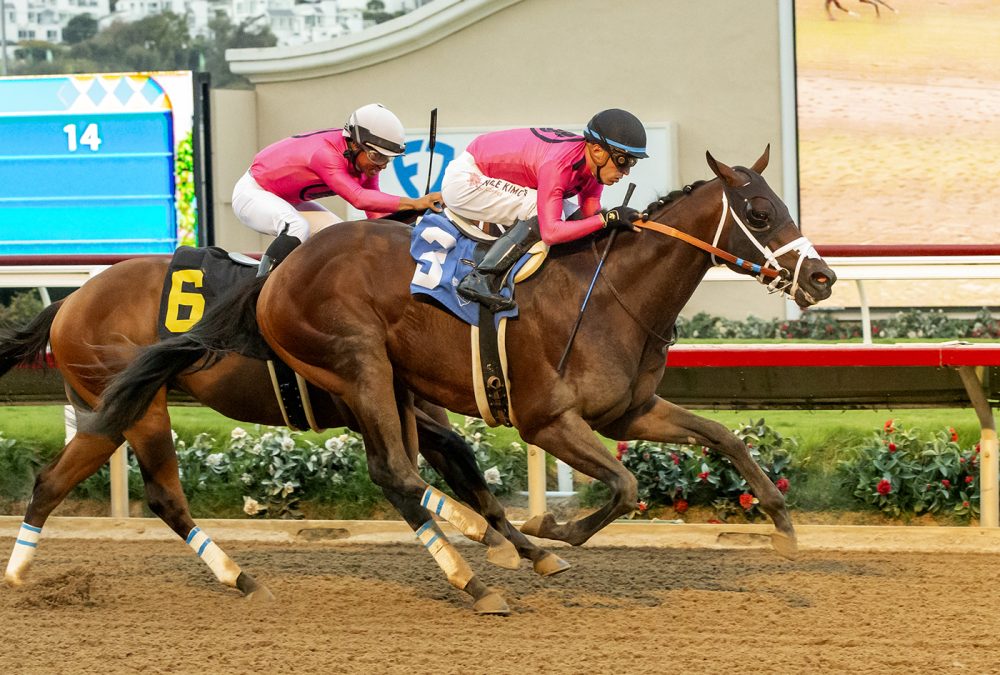 R Heisman - Graduation Stakes - Benoit Photo