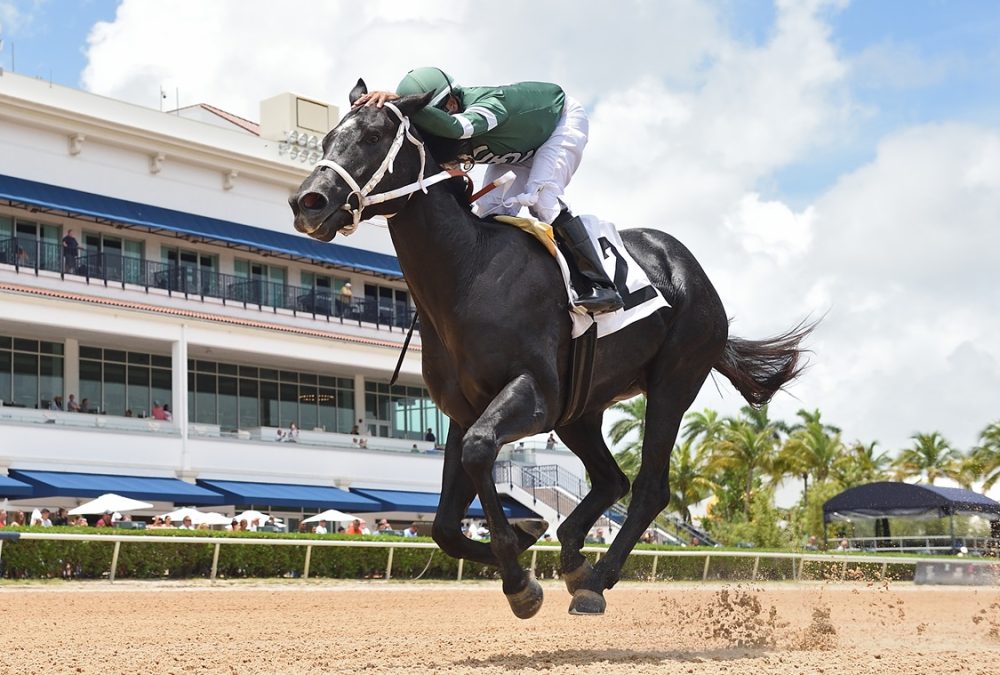 Rated by Merit - Ryan Thompson/Coglianese Photo