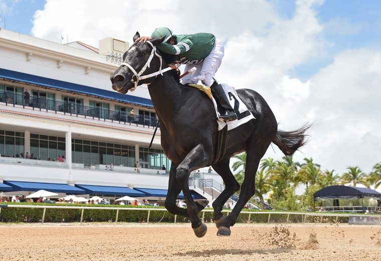 Rated by Merit - Ryan Thompson/Coglianese Photo