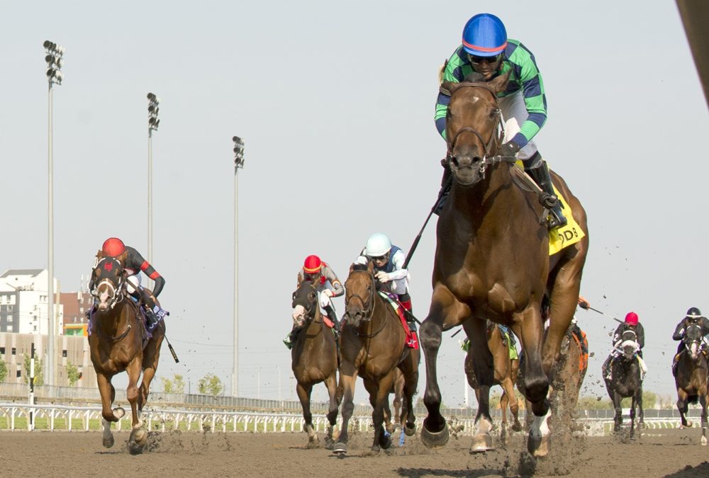 Scorching - Simcoe Stakes - Michael Burns photo