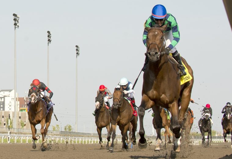 Scorching - Simcoe Stakes - Michael Burns photo