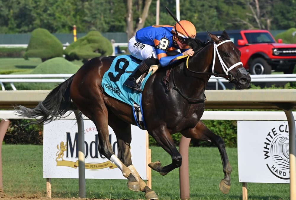 The Queens M G - Adirondack Stakes G3 - Coglianese Photo