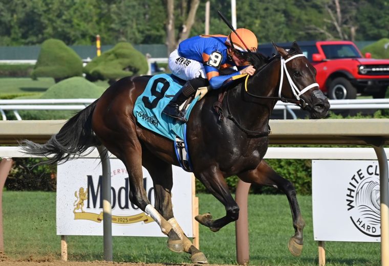 The Queens M G - Adirondack Stakes G3 - Coglianese Photo