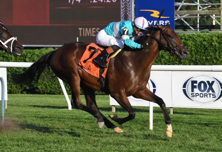 Zulu Kingdom - With Anticipation Stakes G3T - Coglianese Photo