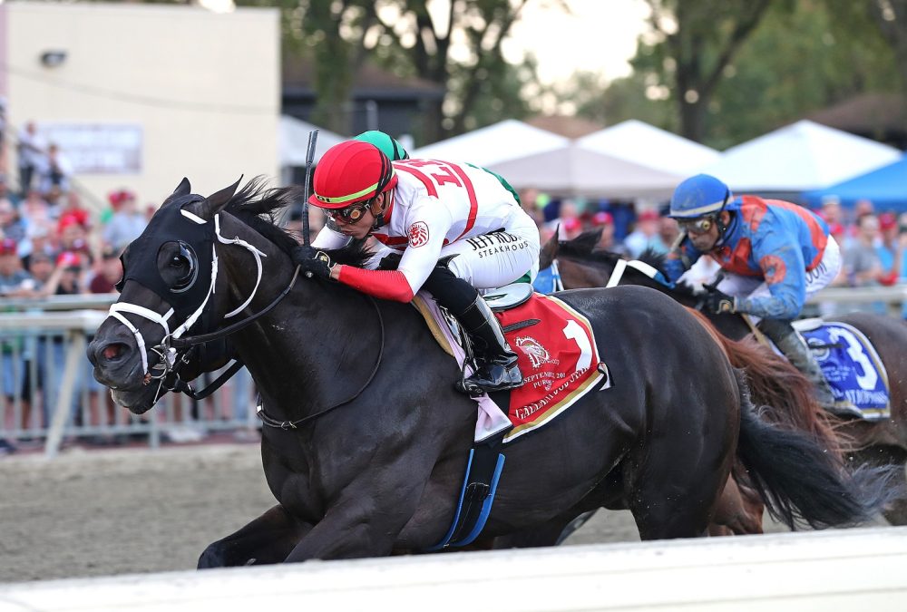 Bentornato - Gallant Bob Stakes G2 - EQUI-PHOTO - Bill Denver