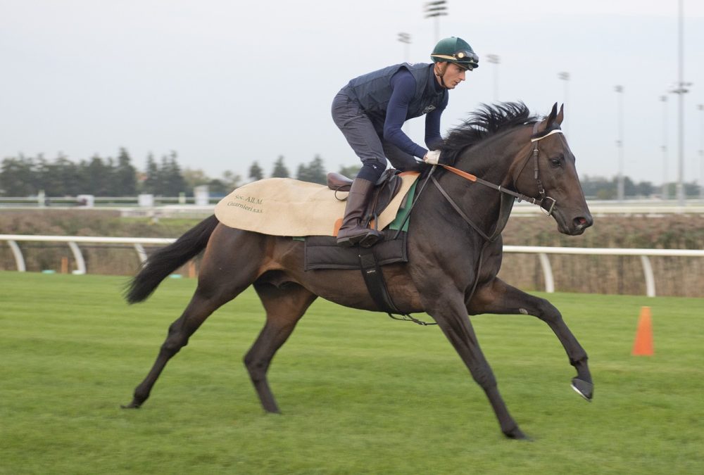 Big Rock (Fr) - Michael Burns