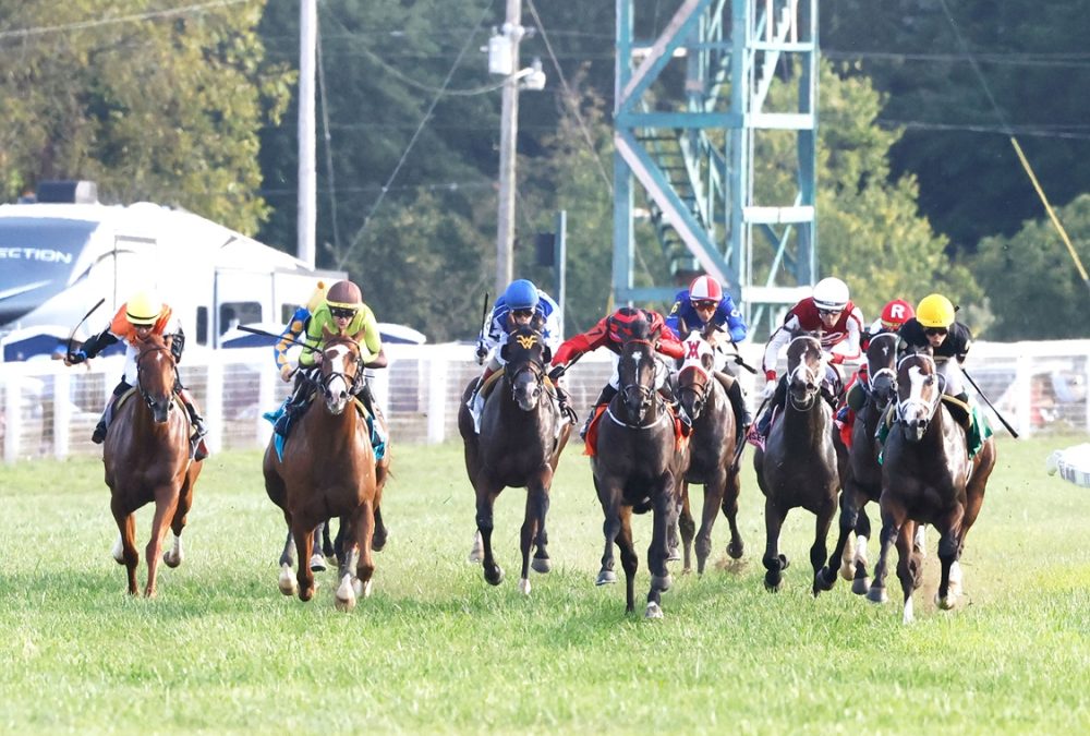 Chasing Liberty - The National Thoroughbred League Juvenile Sprint - Coady Media