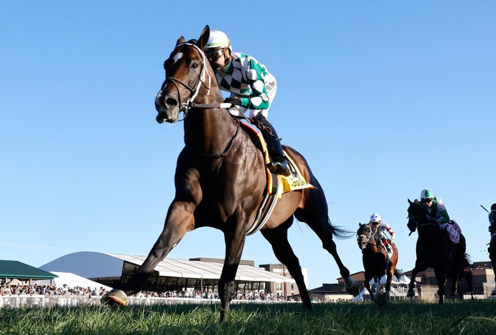 Cogburn - Kentucky Downs - Coady Media