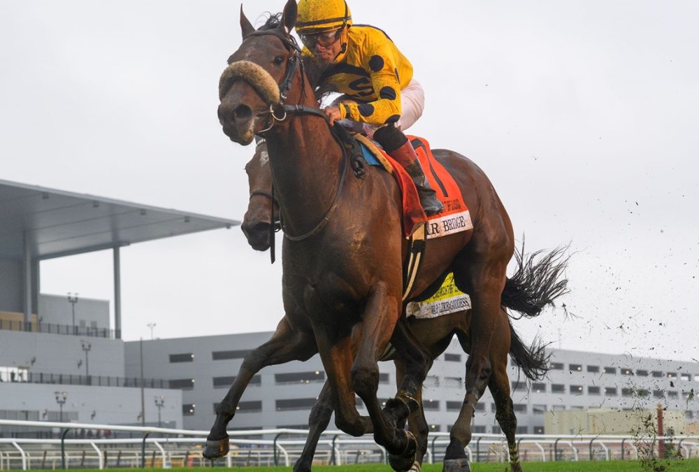 Far Bridge - Joe Hirsch Turf Classic - Coglianese Photo