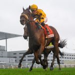 Far Bridge - Joe Hirsch Turf Classic - Coglianese Photo