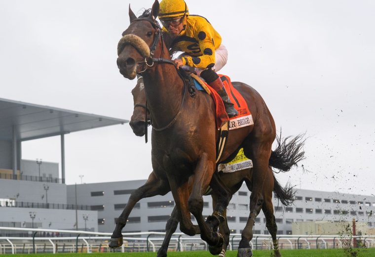 Far Bridge - Joe Hirsch Turf Classic - Coglianese Photo