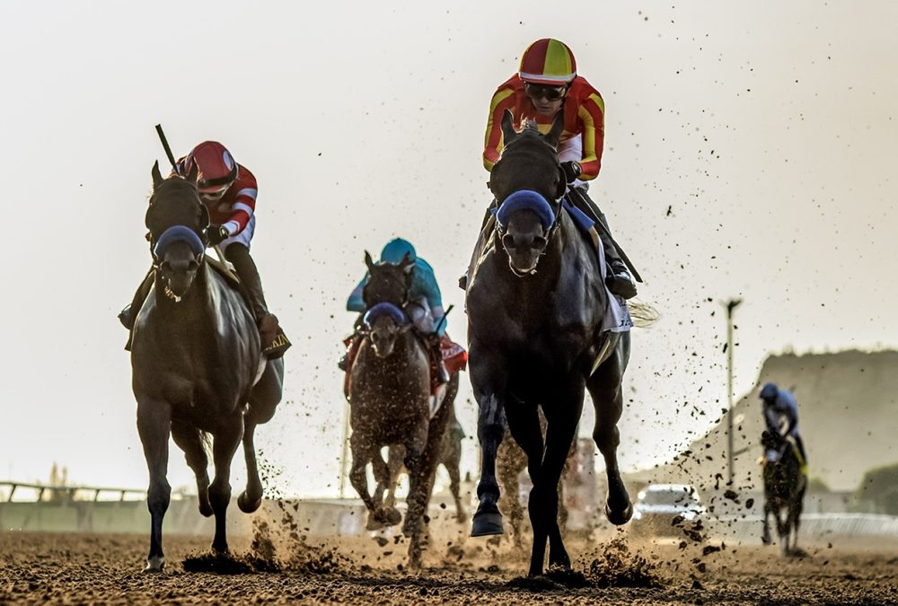 Gaming - Del Mar Futurity G1 - Benoit Photo