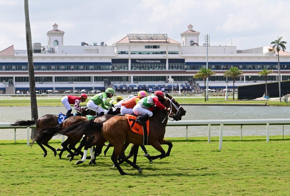 Gulfstream scenic - Coglianese Photo