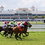 Gulfstream scenic - Coglianese Photo