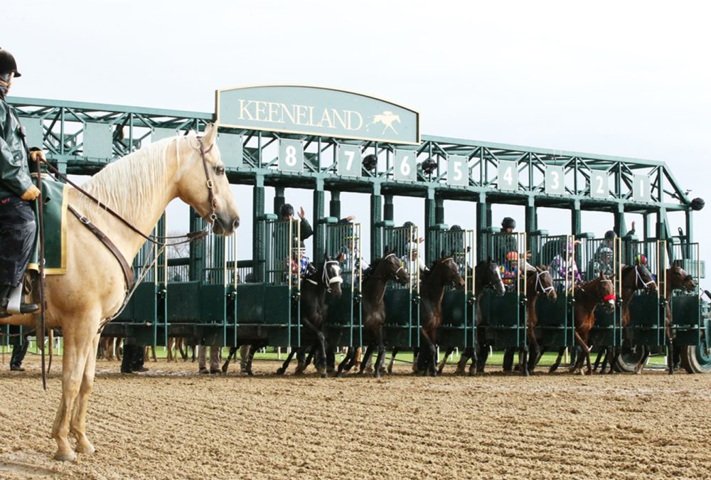 Keeneland - Start Action - Coady Media