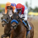 Muth - Shared Belief Stakes - Benoit Photo