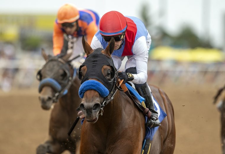 Muth - Shared Belief Stakes - Benoit Photo