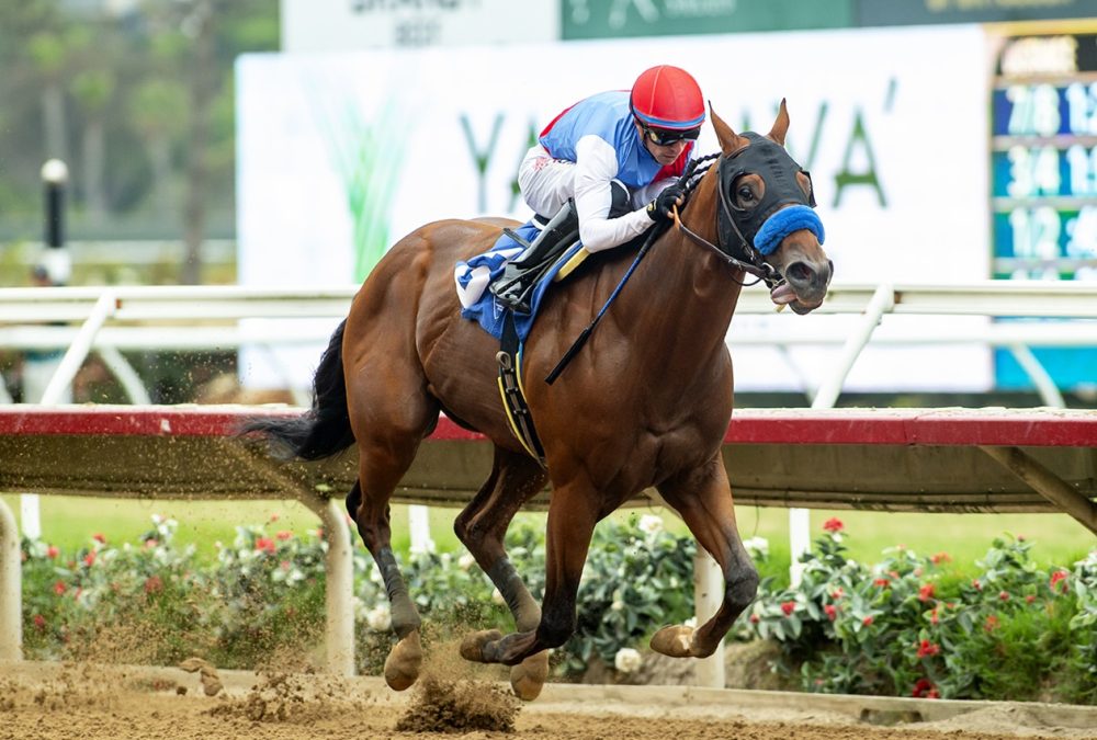 Muth - Shared Belief Stakes - Benoit Photo