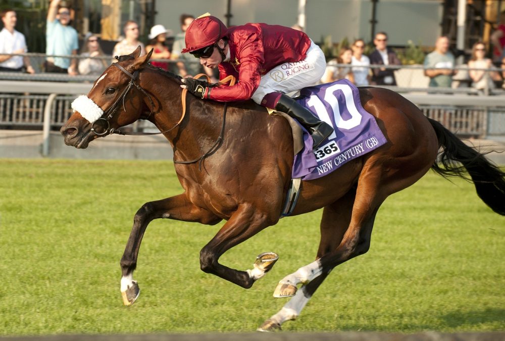 New Century - Summer Stakes - Michael Burns